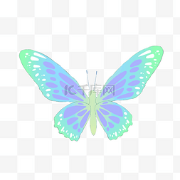 蓝色的蝴蝶装饰插画