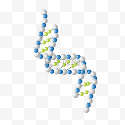 dna双螺旋你图片_DNA结构图