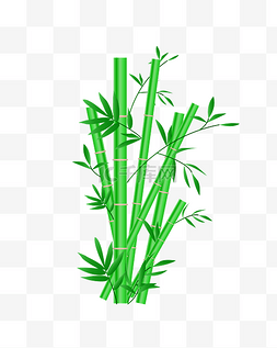 写意插画图片_手绘绿色的竹子插画