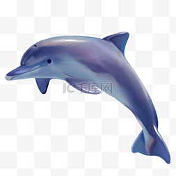 蓝色海豚装饰