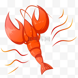 煮熟的龙虾图片_煮熟的龙虾装饰插画