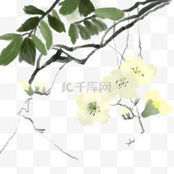 手绘水墨中国风梨花