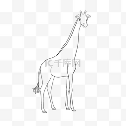 giraffe clipart black and white 线稿长颈