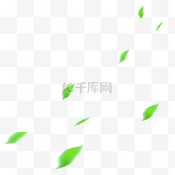 绿色漂浮树叶纹理