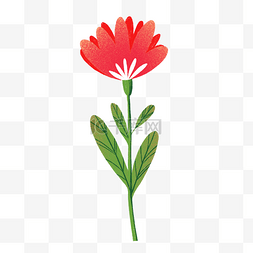 红色的花图片_一枝红色的花