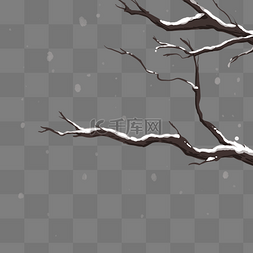 雪中枯树枝
