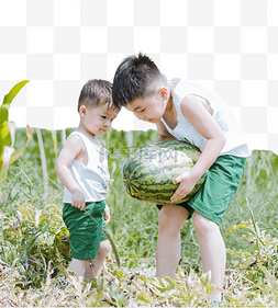 摘西瓜的男孩