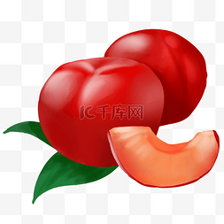 红色李子水果插画
