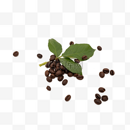 炒熟的咖啡豆和叶子