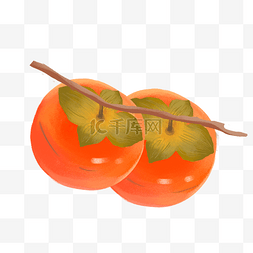 秋冬水果柿子