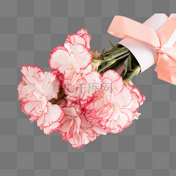 康乃馨花束母亲节花朵