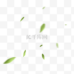 树叶脉络纹理叶脉图片_绿色树叶