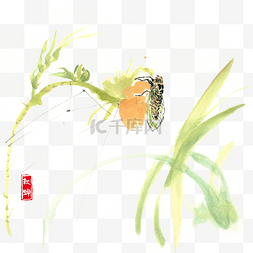 中国风花朵上的蝉