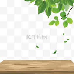 植物木地板边框