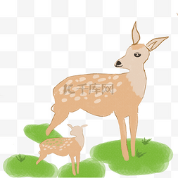 母鹿图片_ 大鹿和小鹿