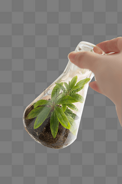 植物实验瓶