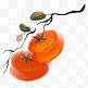中国风水墨柿子