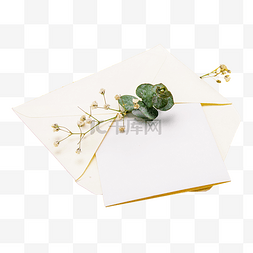 花卉信封图片_白色信封花朵