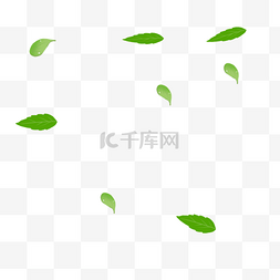 环保装饰元素图片_绿色树叶漂浮环保装饰叶子