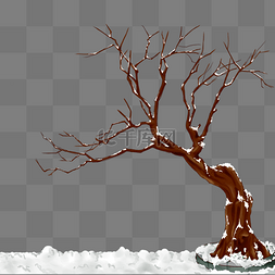 节气大雪雪地歪树