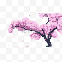 樱花节樱花风景粉色