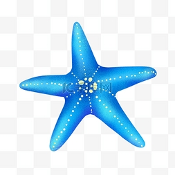 海底生物卡通图片_一个蓝色的海星