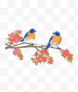 写实春天蓝色鸟类花