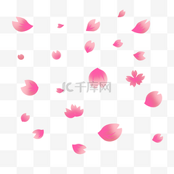 樱花花瓣图片素材