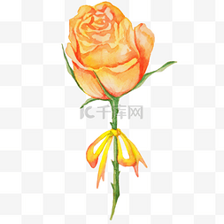 黄色玫瑰花装饰插画