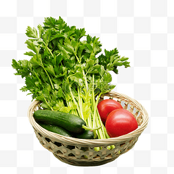 有机蔬菜芹菜