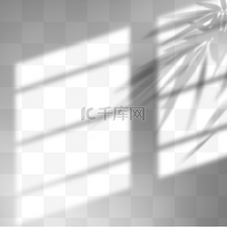 底部阴影图片_创意手绘阳光照射窗户植物投影