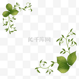 藤蔓枝条免抠素材图片_绿色植物创意藤蔓免抠