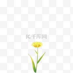 纳新艺术字图片_黄色鲜花免抠图