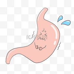 卡通人体胃部器官