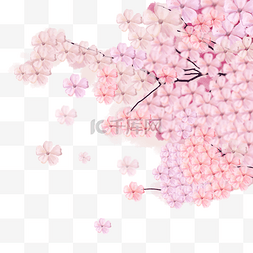 粉色桃花树枝