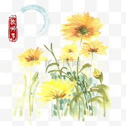 教师节盛开的向日葵