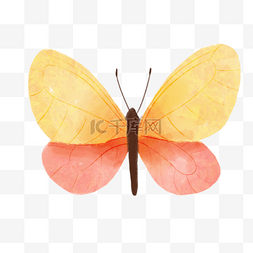 红黄色水彩蝴蝶