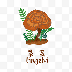 手绘彩色中药灵芝装饰画