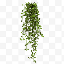 大气商业片头图片_绿色藤曼植物