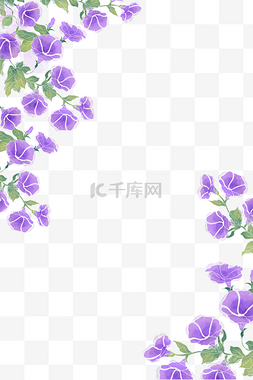 水墨淡雅图片_牵牛花水彩边框