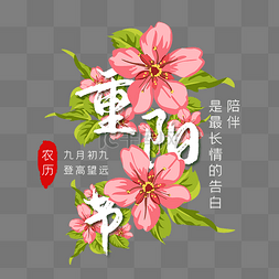 鲜花重阳节字样