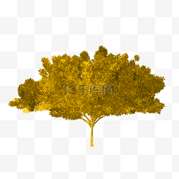 金色树木