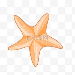 橙色海星图片_可爱橙色海星