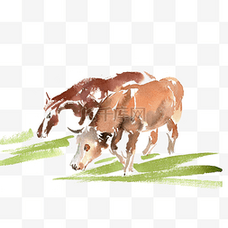 吃草的牛和马