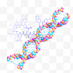 基因链链图片_荧光色基因链