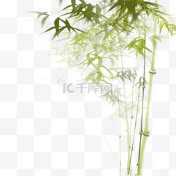 竹子手绘图片_中国风绿色水墨竹子