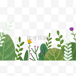 草丛花草植物春季春天底边边框草