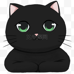黑色可爱猫咪大眼睛小猫