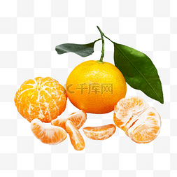 橘子橘子瓣