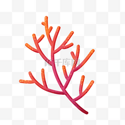 红色的珊瑚图片_一个艳丽的珊瑚